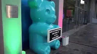 Zimmer's Children Museum Gala