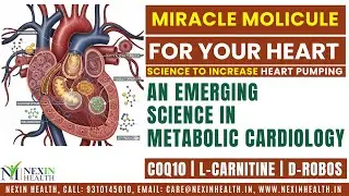 Reverse Heart Weakness Naturally | The Power of CoQ10, L-Carnitine & D-Ribose