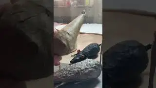Paper Mache with Molding Paste to cover 