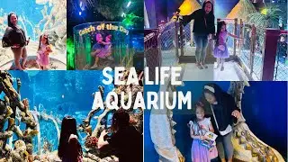 Sea Life Aquarium Arizona: The Rogers Family Adventures