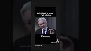 Julian Assange on Hillary Clinton & Gaddafi