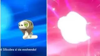 Silicobra si evolve in Sandaconda! - Pok&eacute;mon Spada e Scudo