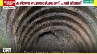 Koodaranji Tiger | 'കിണറ്റിൽ വീണത് പുലി തന്നെ...'