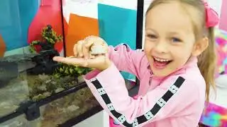 Maya and her pet - Funny and useful stories about animals