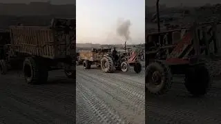 Rock transport into tractor trolley #rocktransport #rock #shorts