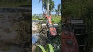 Kubota mini tractor