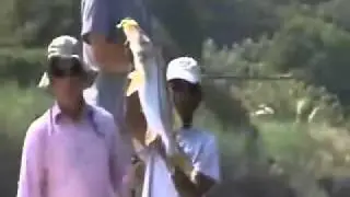 Snook Fishing Action in Belize by Saltwater Fishing Tips