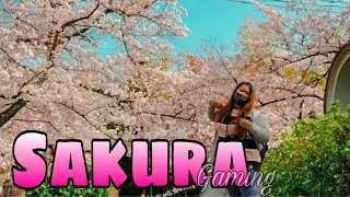SAKURA 2021| EVERYTHING EVANG