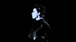 Prince - 
