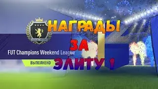 ЭЛИТА 1 ЗА WEEKEND LEAGUE / 2 ПАКА С ТОТСАМИ