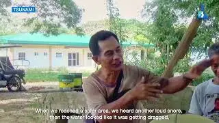 Pagsasalarawan ng mga Panganib ng Lindol (Descriptions of Earthquake Hazards in Tagalog)
