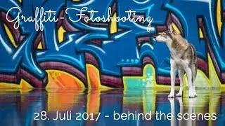 Fotolocation-Check Skaterpark - Hundefotografie