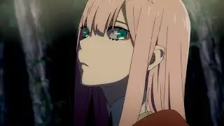Darling In The Franxx &lceil;AMV&rfloor; Rewrite the Stars