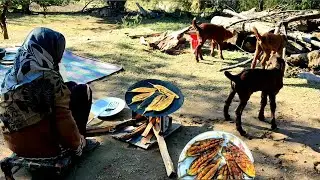 Delicious Lunch Nomadic Style Of Cooking | Daily Routine Village Life Of Pakistan | Rural life