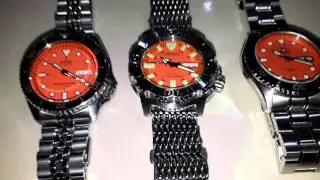 Seiko & Orient diver