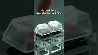 O-Rings vs Normal Switches - Sound Test