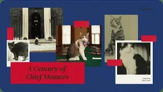 A Century of Chief Mousers: The Cats Who Ruled 10 Downing Street