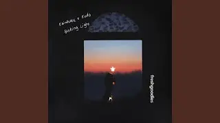 Seeking Light