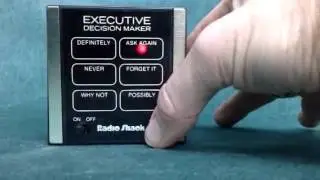 15.12 executive decision maker