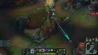 900 AD Zed URF