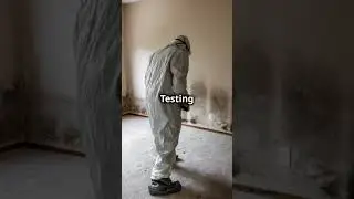 Laurel Towson Gaithersburg's Mold Problem Exposed!