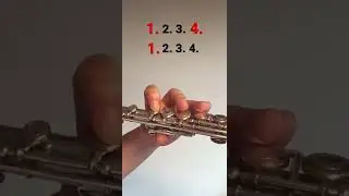 Counting the Beats.  Play the note B on flute   #learnflute