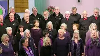 Water Of Tyne performed by Voicemale & Werca's Folk