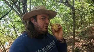 O cheiro é bom, mas o gosto da fruta é...