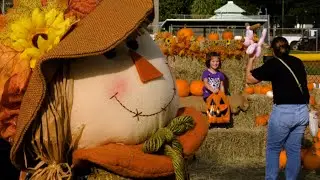 Highlights from the awesome Fall Festival