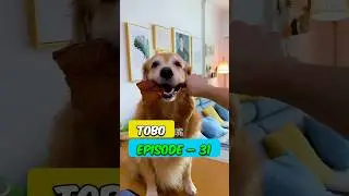 👻ToBo और मम्मा में लड़ाई 🐕🐕 #short
