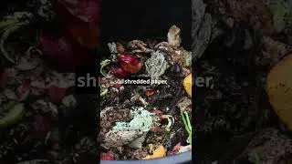 Your Compost Shouldn&rsquo;t Stink&mdash;Fix It Fast