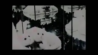 Nebelhexe - Wake to Wither (official music video 2004)