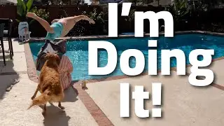 Jumping In!