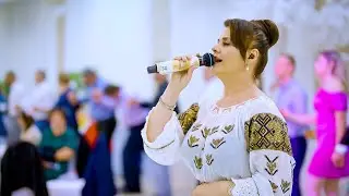 Niculina Stoican - Cel Mai Frumos Colaj de Hore Oltenești