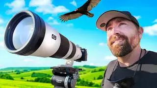 Attempting To Become a Wildlife Cinematographer