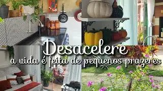 Transformando dias comuns em dias de gratidão,cuidando da casinha com amor 🌿