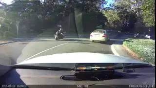 Wally on a bike