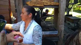 Elaboraci&oacute;n de sidra artesanal Punucapa valdivia