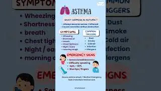 Asthma: Symptoms, Triggers & Emergency Warning Signs 🚨