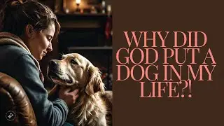 Why Did GOD Put A DOG In Your LIFE?