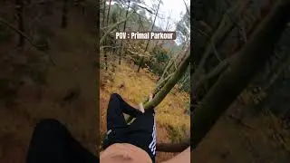 Living like a MONKEY ! (POV Primal Parkour)