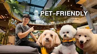 Newest Pet-Friendly Mall in Bangkok Suburb: Central Westville (#43)