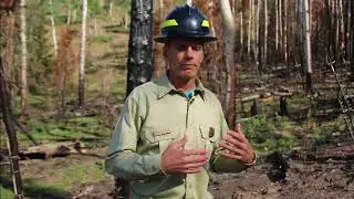 Using the Briggs Fire across the landscape for a healthy forest