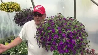 Performance with PittMoss
