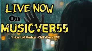 LIVE | Never Surrender 💔 Hindi Lofi Mashup | Chill Beats to Relax &bull; Study &bull; Sleep | Music Ver55