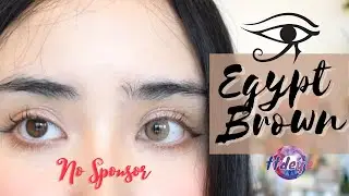 TTDEYE- EGYPT BROWN - ɴᴀᴛᴜʀᴀʟ ʟɪɢʜᴛ (REVIEW) 🍞🥨*NO SPONSOR* l Lact0bacillus