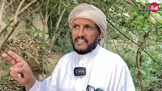 المهندس الزراعي محمد موسى الفيفي يتحدث عن انتشار حشرة 