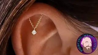 The Whole Truth - Hidden Helix Piercing
