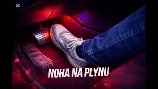 Noha na plynu 