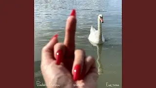 Тим Кох